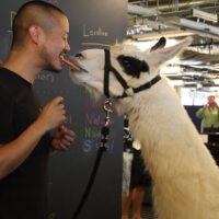 Tony Hsieh