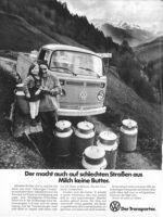 VW Bulli Portrait 13