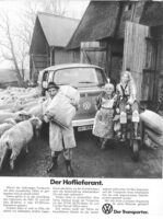 VW Bulli Portrait 15