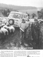 VW Bulli Portrait 27