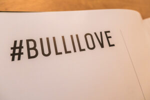 Bulli Love Buch