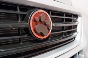 DogLiner Wohnmobil für Hundebesitzer