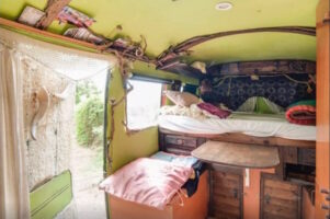 Green bus 5
