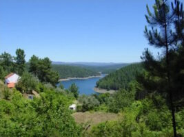 Vintage Caravan with Lake View 9