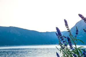 Camping Montenegro Golf von Kotor