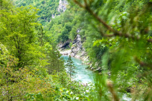 Camping Montenegro Tara Canyon