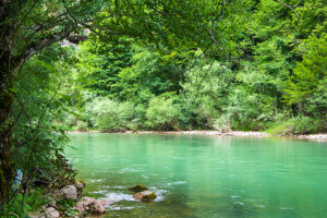 Camping Montenegro Tara Fluss