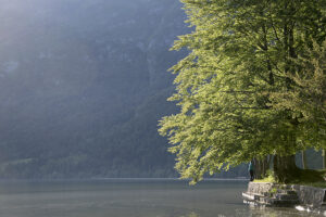 Bohinj Lake