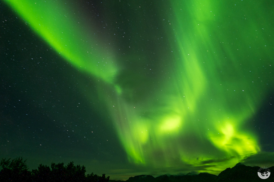 Norwegen 20160908 Lofoten Polarlichter 1090068 Mandy Raasch