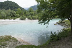 Soca Tal 1