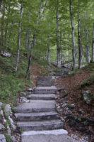 Waldweg zum Wasserfall nähe Bohinj
