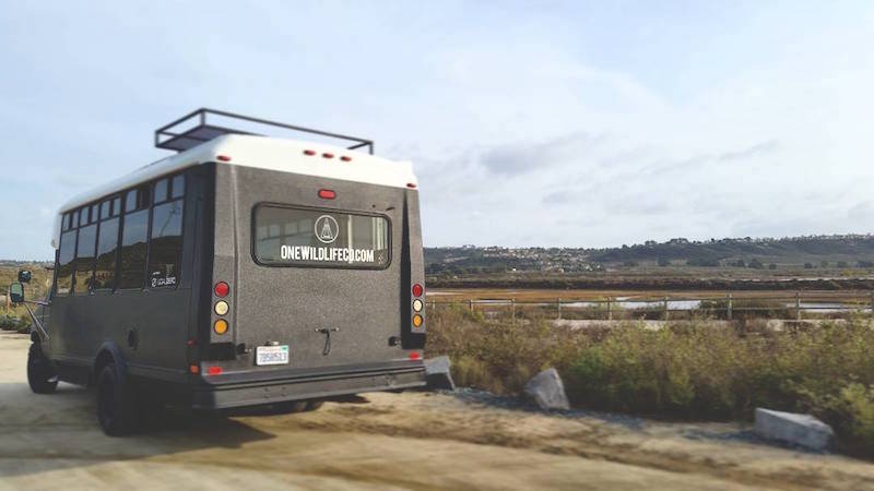 Ein mobiler Co-Working Space – auch als Strandbüro geeignet!