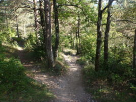 Mountainbiken Spanien Katalonien - Trail