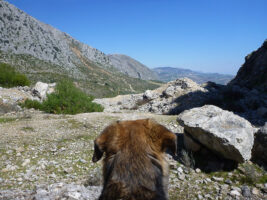 Mit dem Hund in den Bergen von Spanien