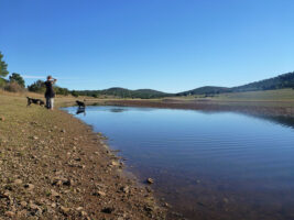 Mit dem Hund am See in Spanien