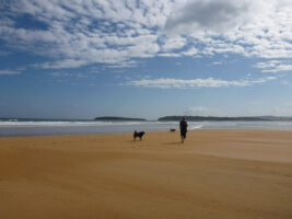 Strandspaziergang mit Hund in Spanien