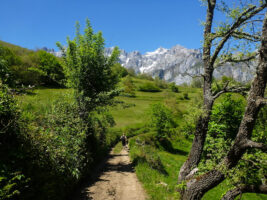 4 schöne Orte in Spanien - Picos de Europa