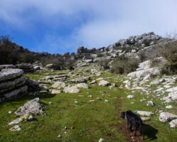 4 schöne Orte in Spanien - El Torcal