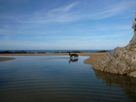 Im Urlaub mit Hund am Strand in Spanien
