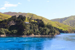 Ein traumhafter Ausblick von der Interislander in Neuseeland