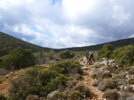 Plateau auf dem Peloponnes, Griechenland