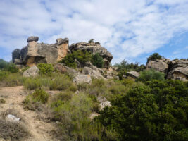 Bouldersteine in El Cogul, Spanien