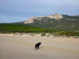 Strand Bolonia mit Blick auf den Berg