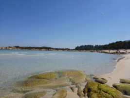 Der Karidi Beach in Sithonia