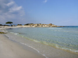 Der Strand in Sithonia, Griechenland