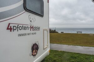 Dogliner 01