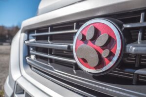 Dogliner 010
