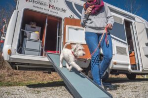 Dogliner 018