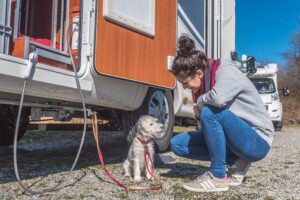 Dogliner 023