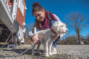 Dogliner 024