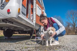 Dogliner 026
