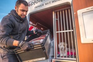 Dogliner 063