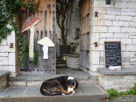 Siesta in Griechenland - ein Wachhund