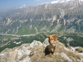 Mit dem Hund auf einem Berg in Griechenland