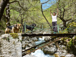 Mit Hunden in Griechenland unterwegs