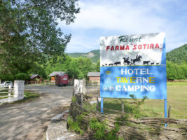 Ein hundefreundlicher Campingplatz in Albanien