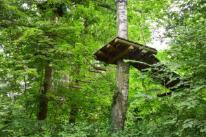 Kletterwald an der Müritz