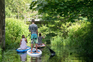 SUP in den Kanälen der Müritz