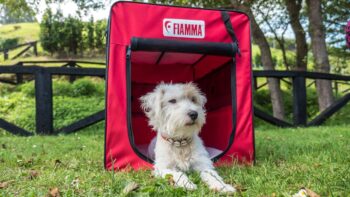 Frankana Faltbare Hundebox 6