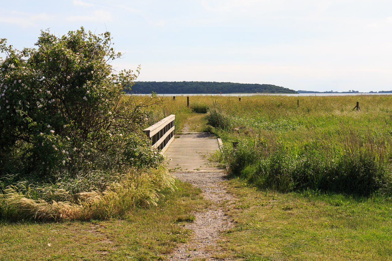 Mit dem Wohnmobil durch Dänemark 15 Spaziergänge durch die Natur in Dänemark