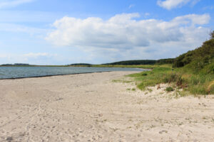Strand in Dänemark mit Hund