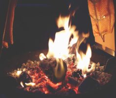 feuerlachsset in aktion 1