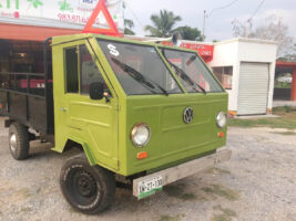 Ein gruener hormiga Volkswagen