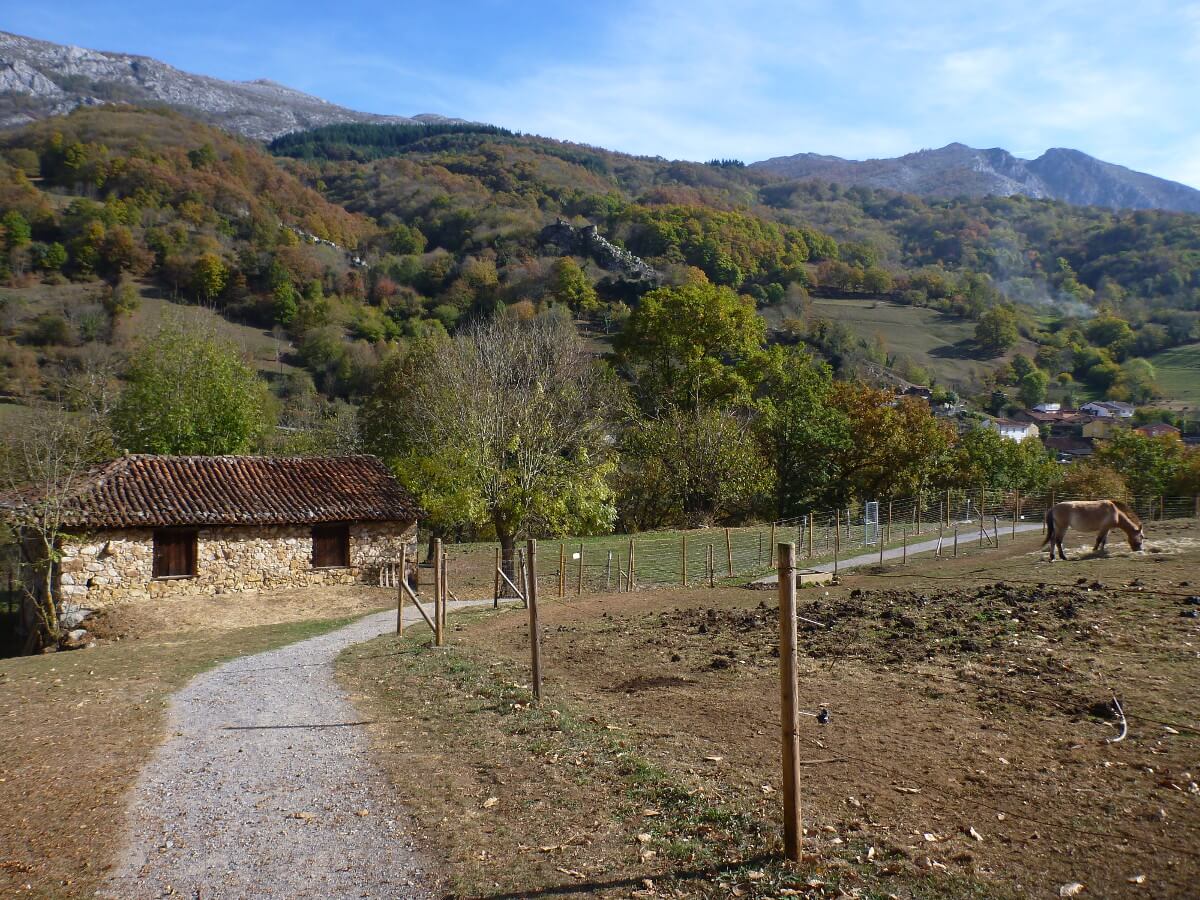 Interessante Routen in Nordspanien zum Nachfahren: Asturien und Galicien 13 Blick auf den Wanderweg Senda del Oso
