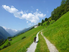 Wanderung mit Hund im Stubaital eines der Reiseziele fuer April