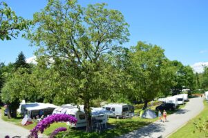 Camper auf dem Gitzenweiler Hof am Bodensee